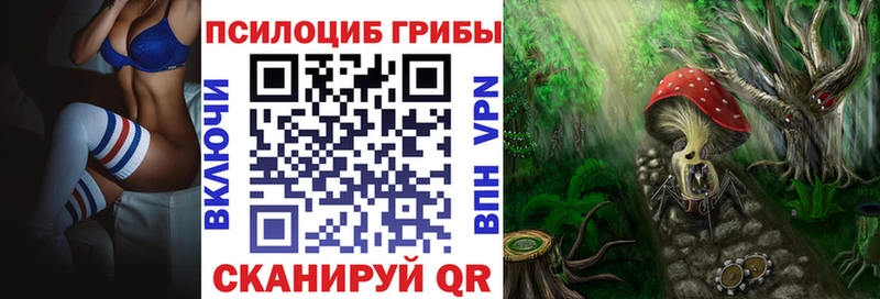 Псилоцибиновые грибы Magic Shrooms  Дальнереченск 